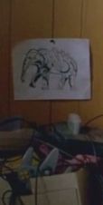 Elephant drawing hanging on the wall
