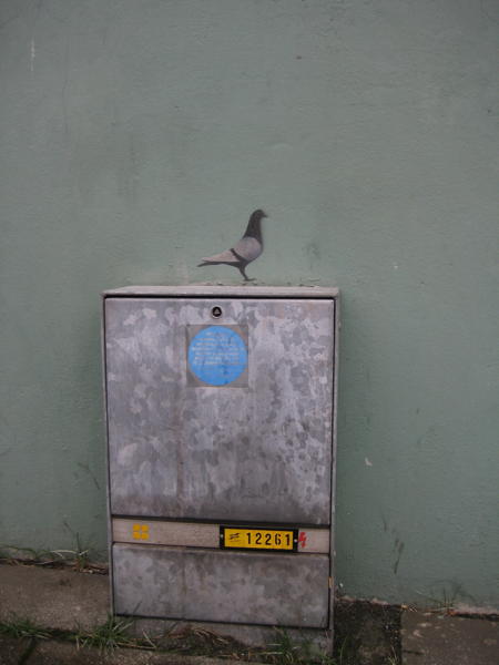 Pigeon sprayed on a wall in Reykjavík.