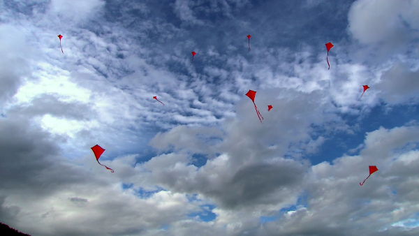 kite wallpaper. Kites in Sigur Rós film