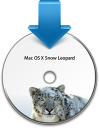 Mac OS X.6 Installer Icon
