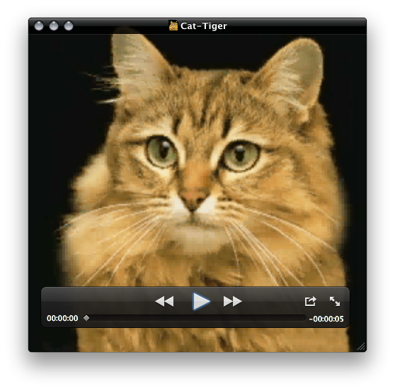 QuickTime Player playback window