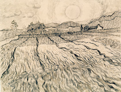 van Gogh drawing with a field