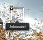 Äste vor grauem Himmel